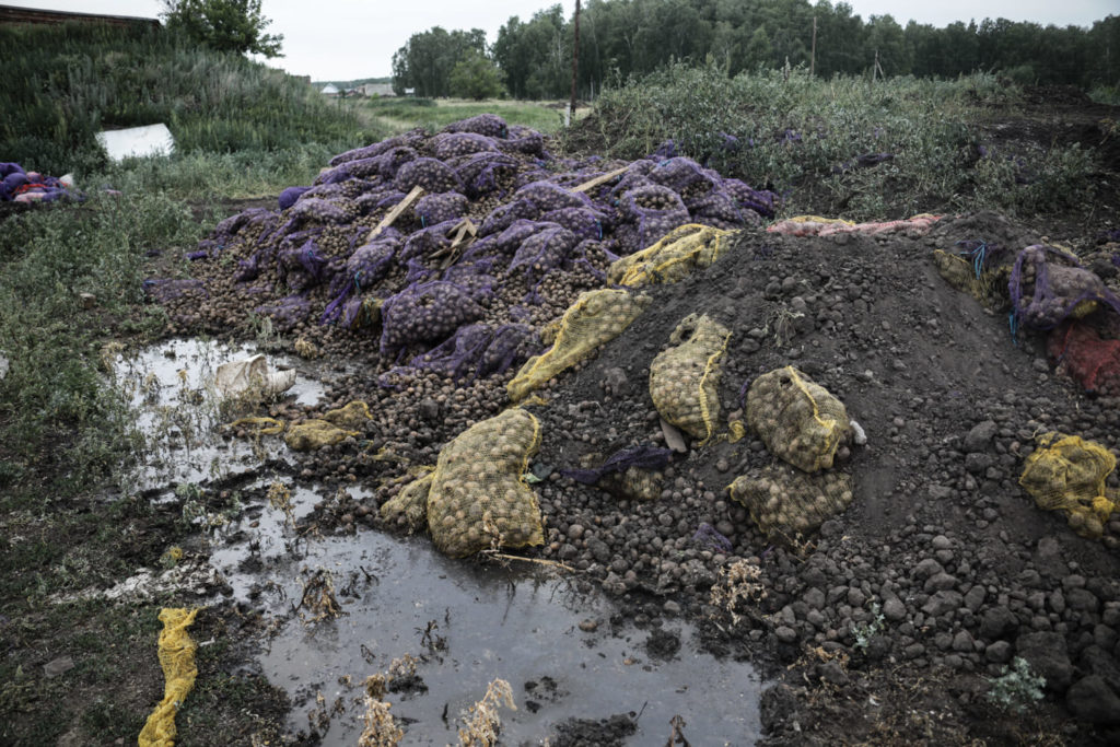 Фото: Никита Цицаги для НВ